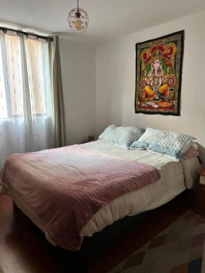 Cozy apartment in the center of Santiago